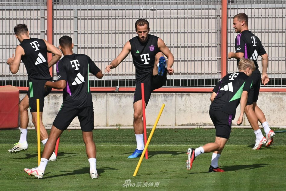 年轻选手的 年轻选手的